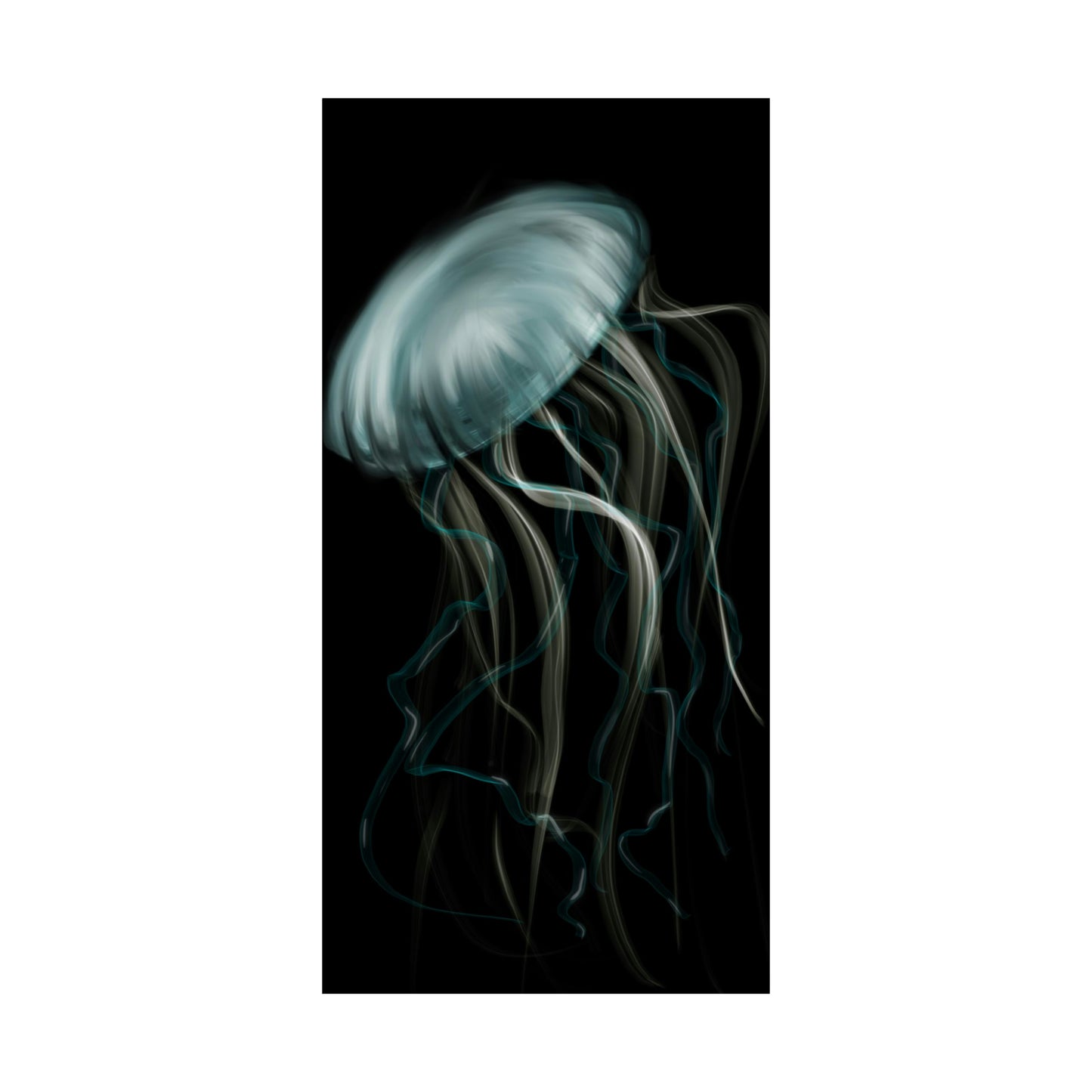 Jellyfish Flow Rolled Print